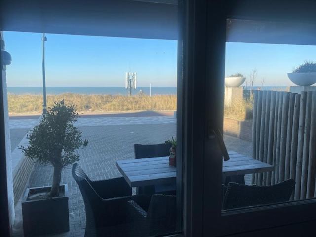 B&B Zeespiegel Zandvoort Exterior photo