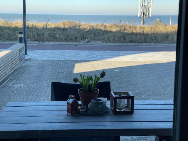 B&B Zeespiegel Zandvoort Exterior photo
