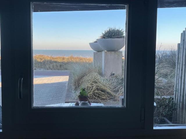 B&B Zeespiegel Zandvoort Exterior photo