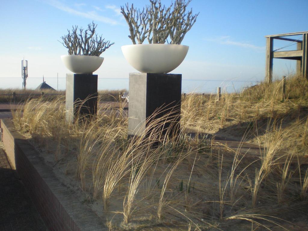 B&B Zeespiegel Zandvoort Room photo