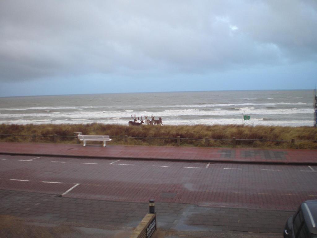 B&B Zeespiegel Zandvoort Room photo